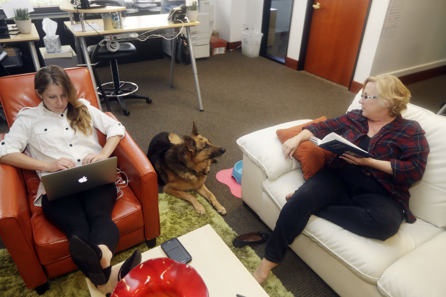 SmallBiz-Small Talk-Pets at Work